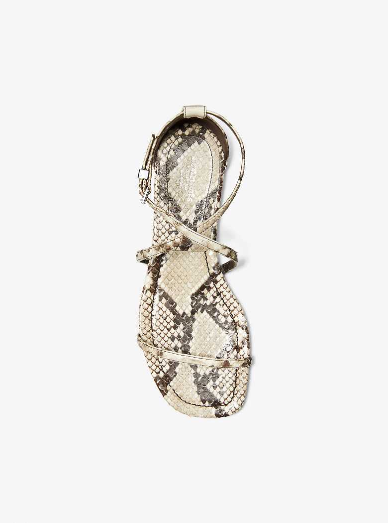 Michaelkors Polly Python Embossed Leather Bege | SN-MK27709